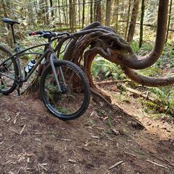 Gary Fisher / Trek Sawyer 29er XL Mountain Bike