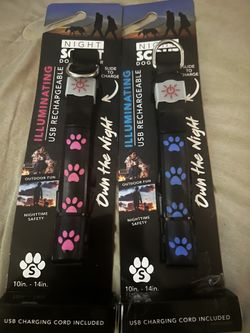 Light Up Dog Collar 