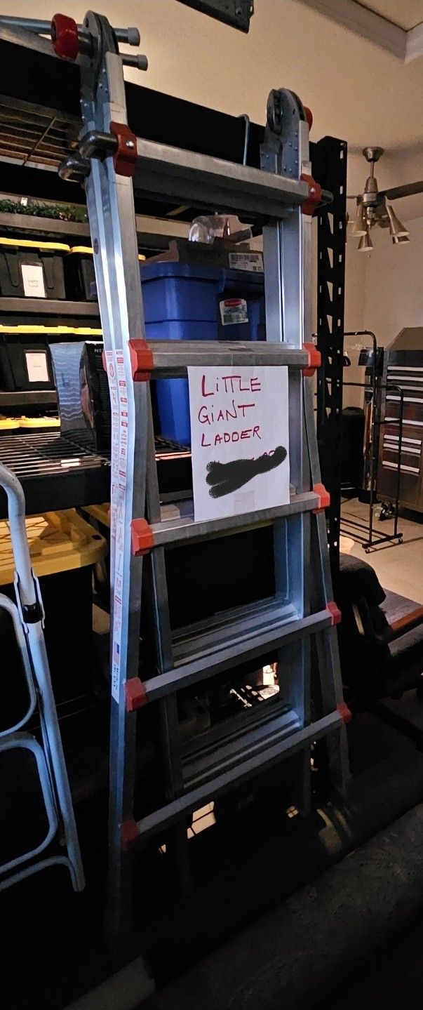 Little Giant Ladder