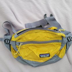 Patagonia Fanny pack