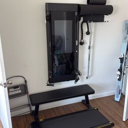 Tonal Exercise System