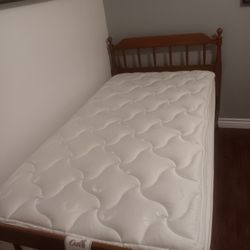 Twin Frame And Mattress 