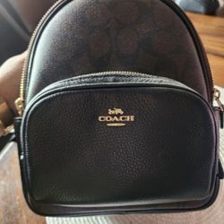 Mini Coach Backpack 