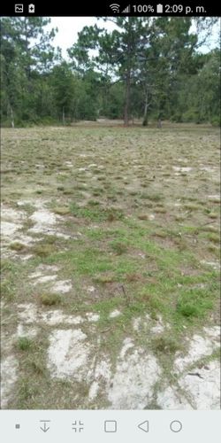 TERRENO BARATO EN BRONSON FLORIDA