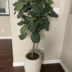 Tall Faux Tree