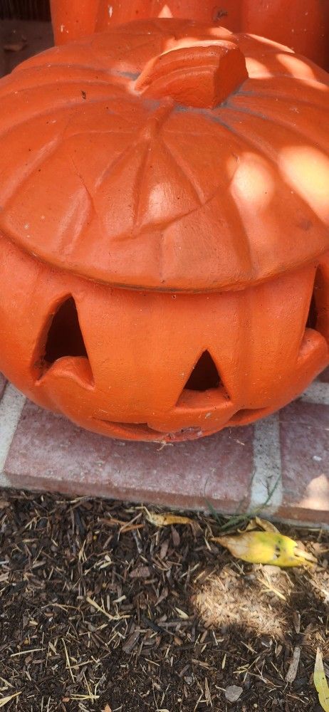 Pumkin