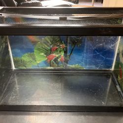 10 Gallon Terrarium or Fish  tank