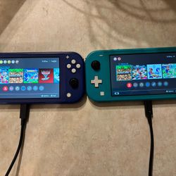 Nintendo Switch Lite(2)