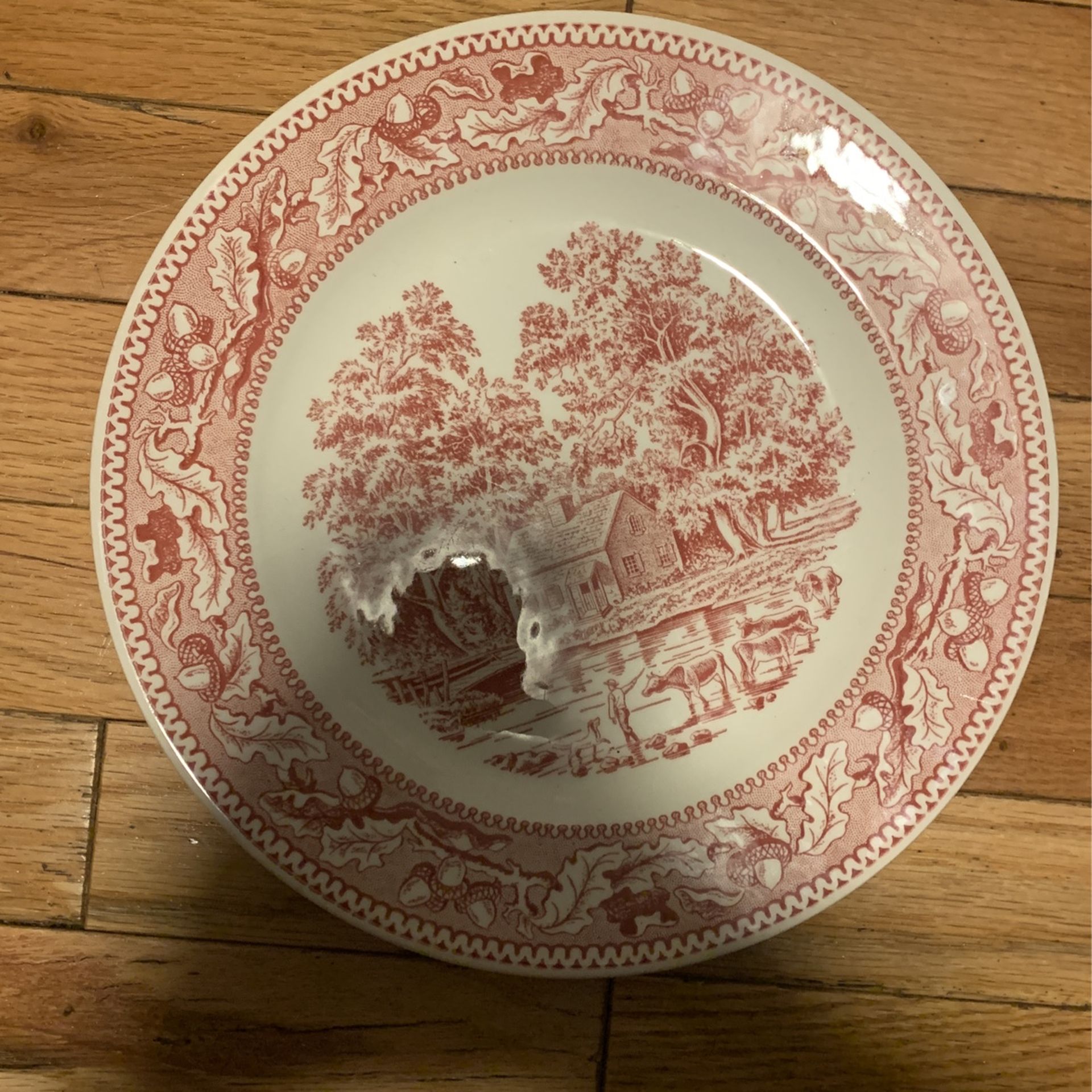 Memory Lane By Royal Ironstone