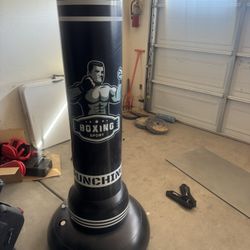 Freestanding Punching Bag 