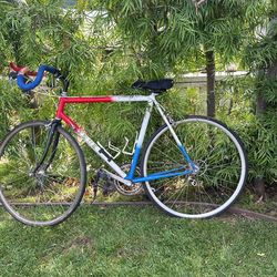 Trek Road Racing Bike