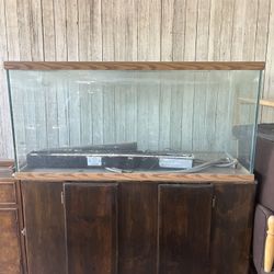 Fish Tank 