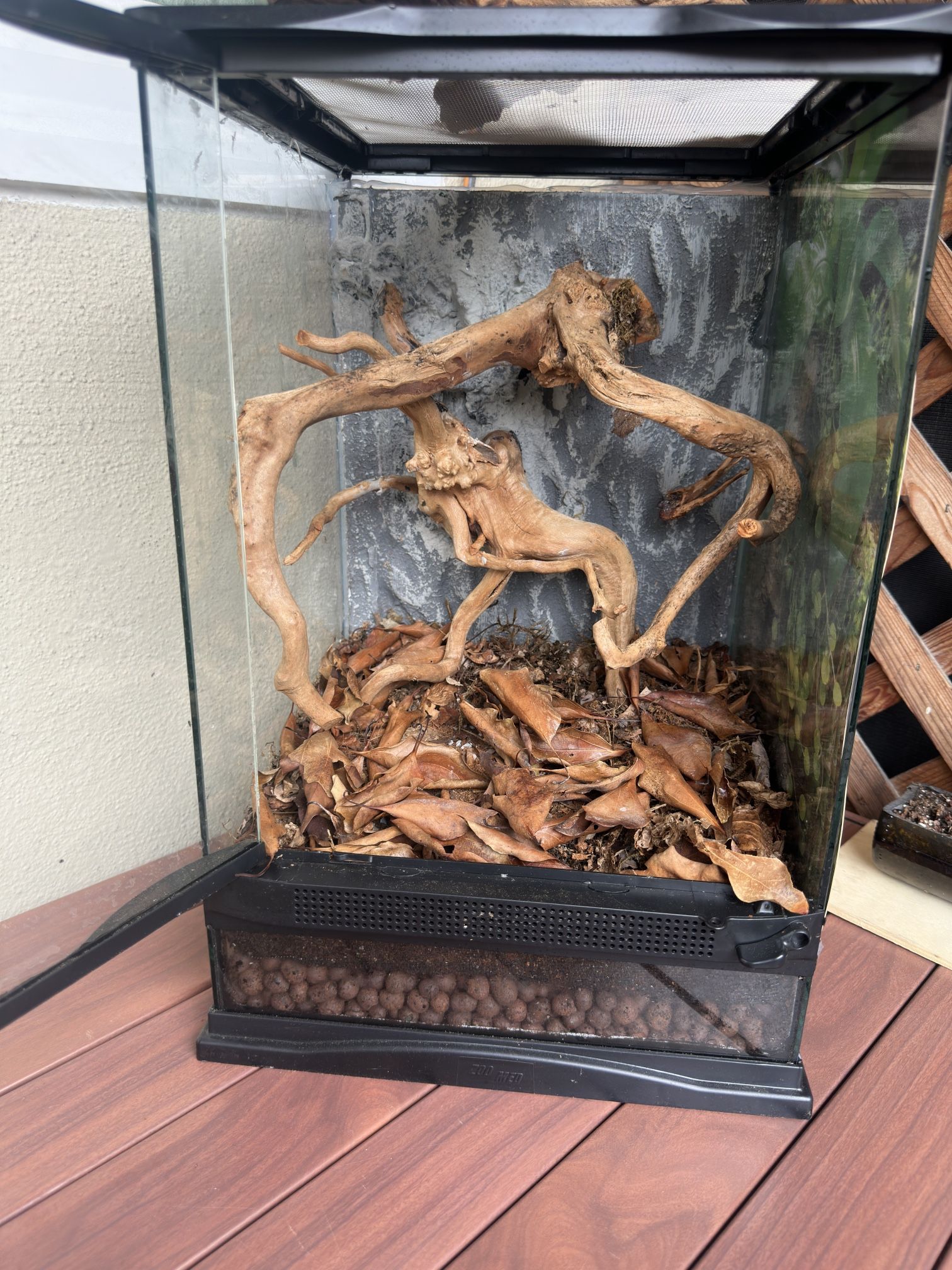 Terrarium