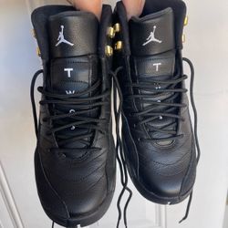 Jordan 12 “ The Masters “