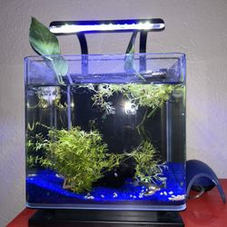 Fish Tank With Everything Included 