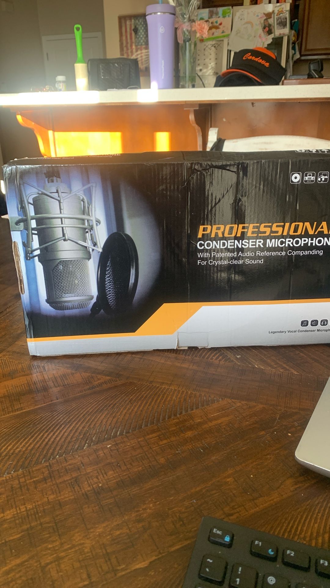 Professional Condenser Microphone