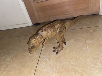 Dinosaur 🦖