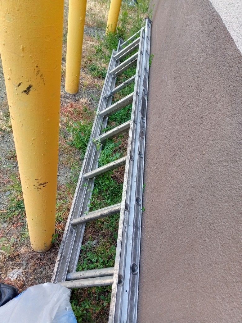 Extension Ladder
