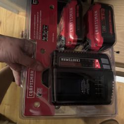 V20* 2.0Ah Lithium Ion Starter Kit