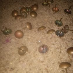 Upholstery Brass Buttons 