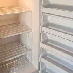 Stand Up Freezer 
