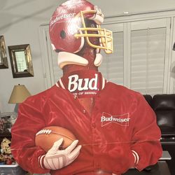 NFL Football / Budweiser / Bud Light / Colors Light Lot!