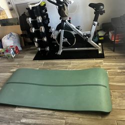 Workout Mat In Great Shape