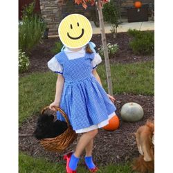 Custom Dorothy Costume Kids Sz 4-5