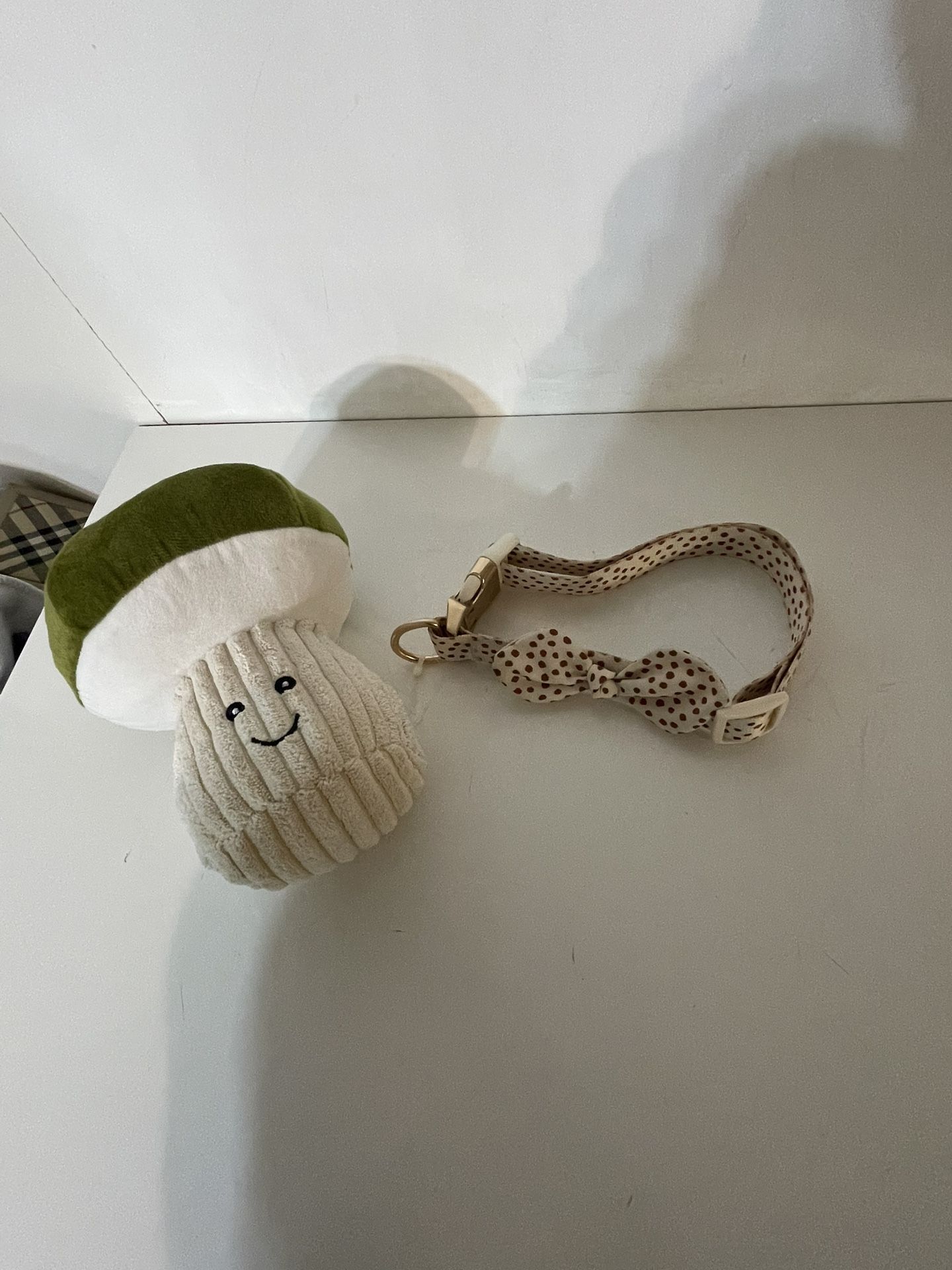 Dog Collar And Toy- Larger Dig Size