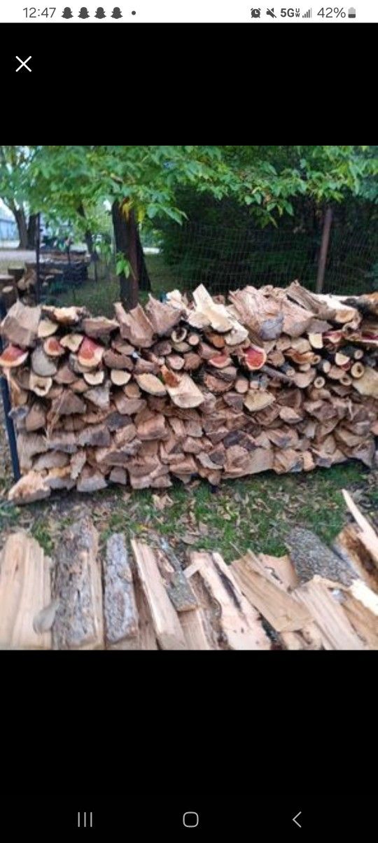 Assorted Fire Wood