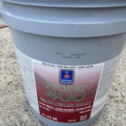 Semi Gloss Promar400