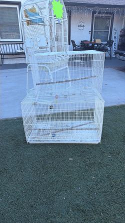 Birdcage