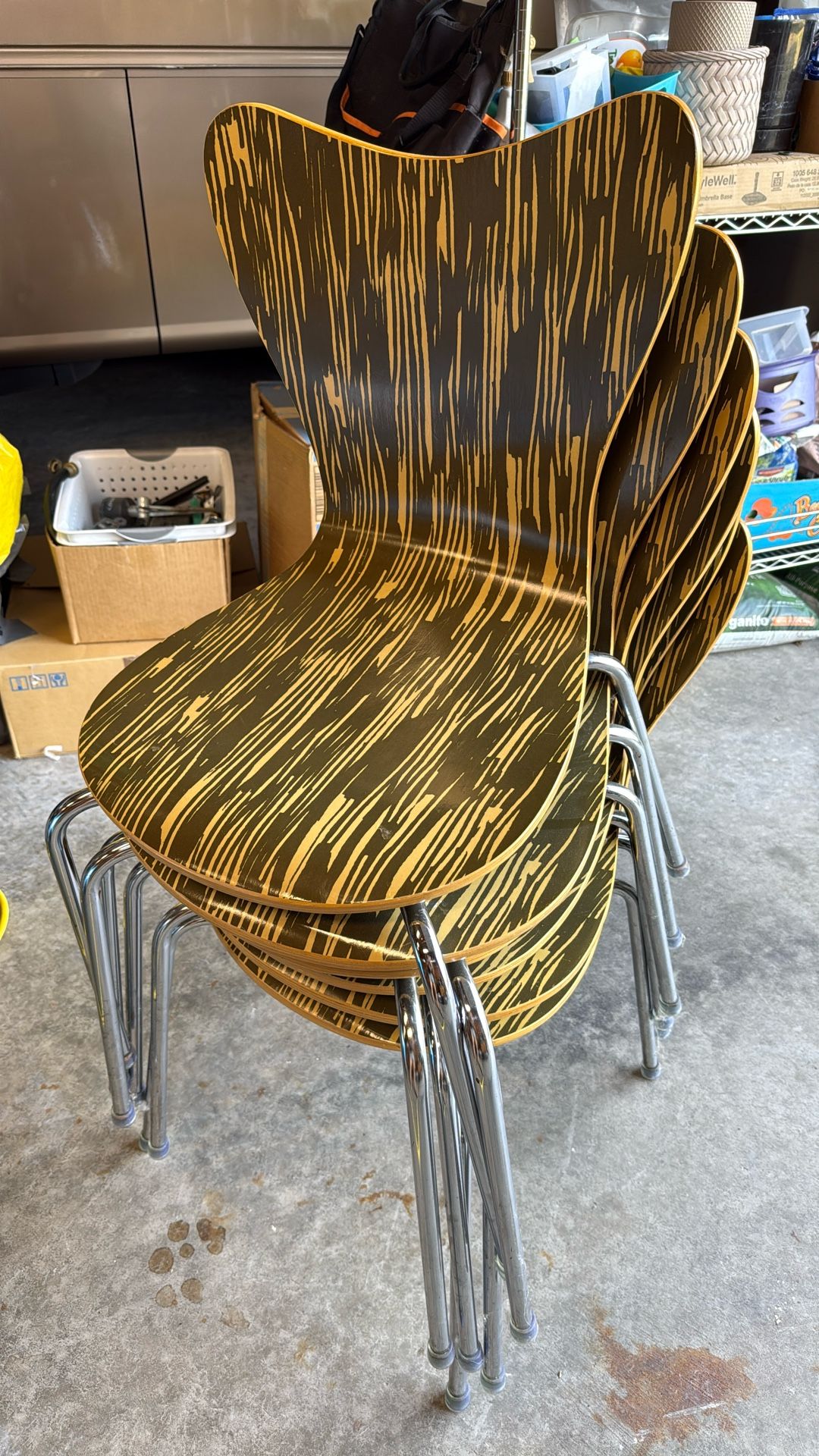 6 Mid-century Vintage Knoll Studio Ross Lovegrove Sprite Veneer Stackable Chairs