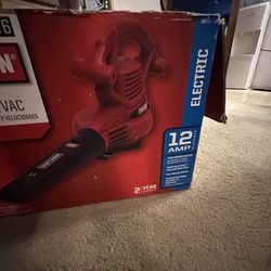 Craftsman Blower/Vac