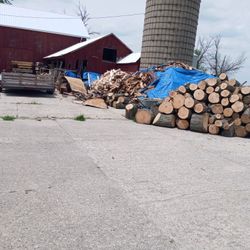 Firewood