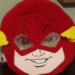 Dan Dee Maskimals Big Head DC Comics Flash Mask