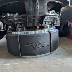 2 10" 1,500 Watt Max Power Car 2 Subwoofer