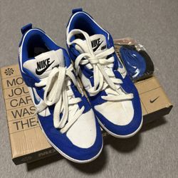 W Nike Dunk Low Disrupt 2