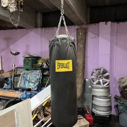 70lb Leather Brand New EVERLAST punching Bag 