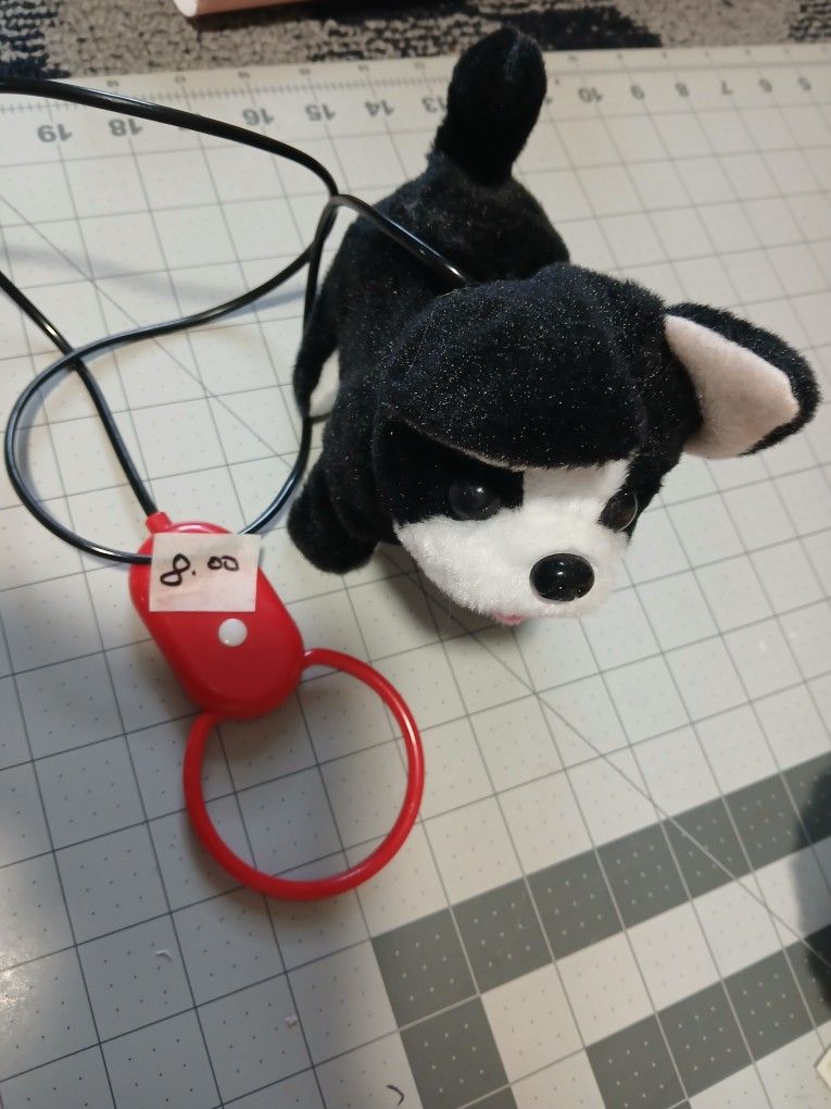 Pet Puppy