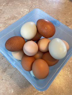 Fresh Eggs In Milwaukie.