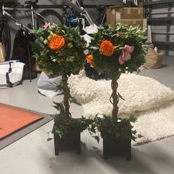 Pair Of Topiaries 
