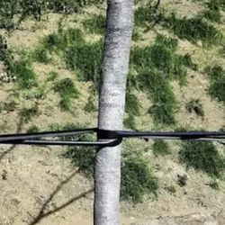 32” Cinch Tree Guides