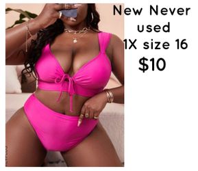 Pink Plus Size Bikini