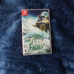 Zelda Tears Of The Kingdom 