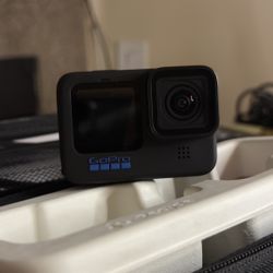 I'm exchanging my GoPro camera for a Nikon D7500, and also for a Sony ZV-E 10, which will be returned to you.