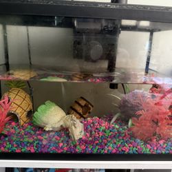 Fish tank