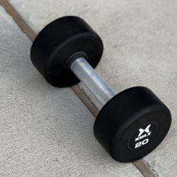 Single 20lb Hex Dumbbell