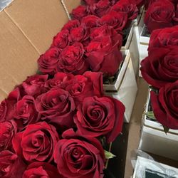 Valentines Last Minute Rose!