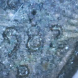 ,1982 D copper penny Small Day Wait 3.1 Grain